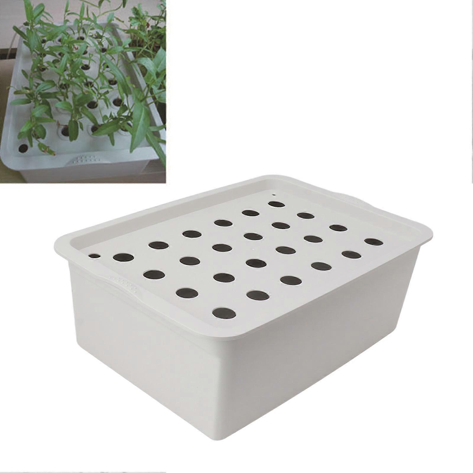 24 Holes Gray Hydroponic System Growing Box with Timer Oxygen Pump Hydroponic System Planter Box EU Plug 220V