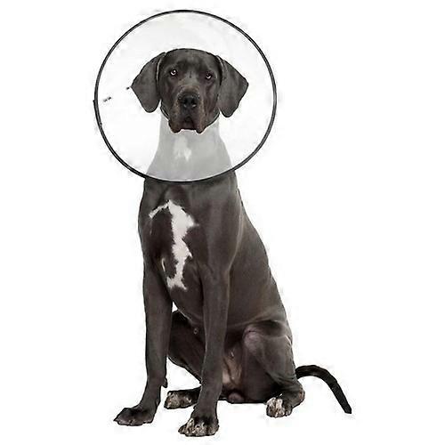 ZenPet E-Clear Πλαστικό Κολάρο Ανάκτησης, 1 έκαστο / 2 ExtraLarge