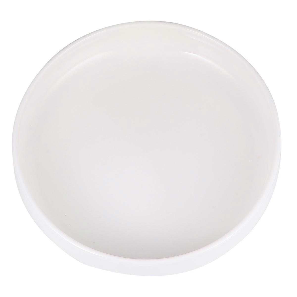 Turtle Feeding Plate Ceramic Reptiles Feeding Bowl Basin White 24cm Prevent Overthrow and Spill 1Pack