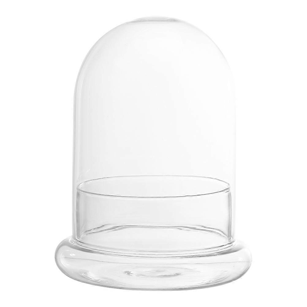 Glass Micro Landscape Bottle Shaped Eco Terrarium Container for DIY Home Office Decoration – Miniature Plant Display and Crafting Glass Canister
