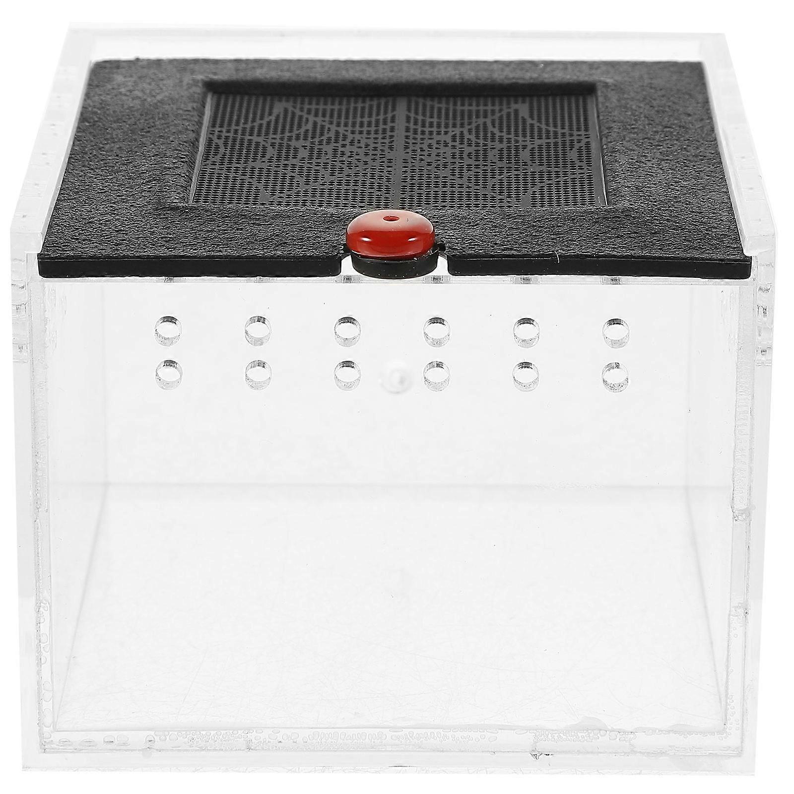 Transparent Acrylic Spider Terrarium for Pet Use 5Pcs Enclosure