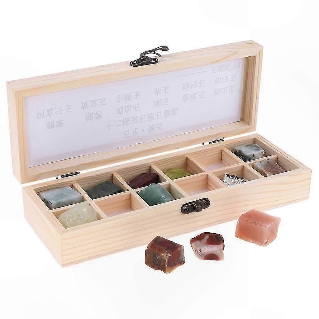 12x Rock & Mineral Specimen Collection with Jade Stone in Box Geology Science Toy