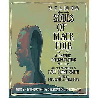 W. E. B. Du Bois Souls of Black Folk A Graphic Interpretation
