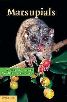Marsupiaux