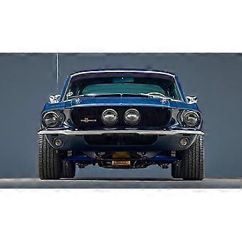 1967 Ford Shelby GT500 Fastback Jigsaw Puzzle Brain Teaser G2480