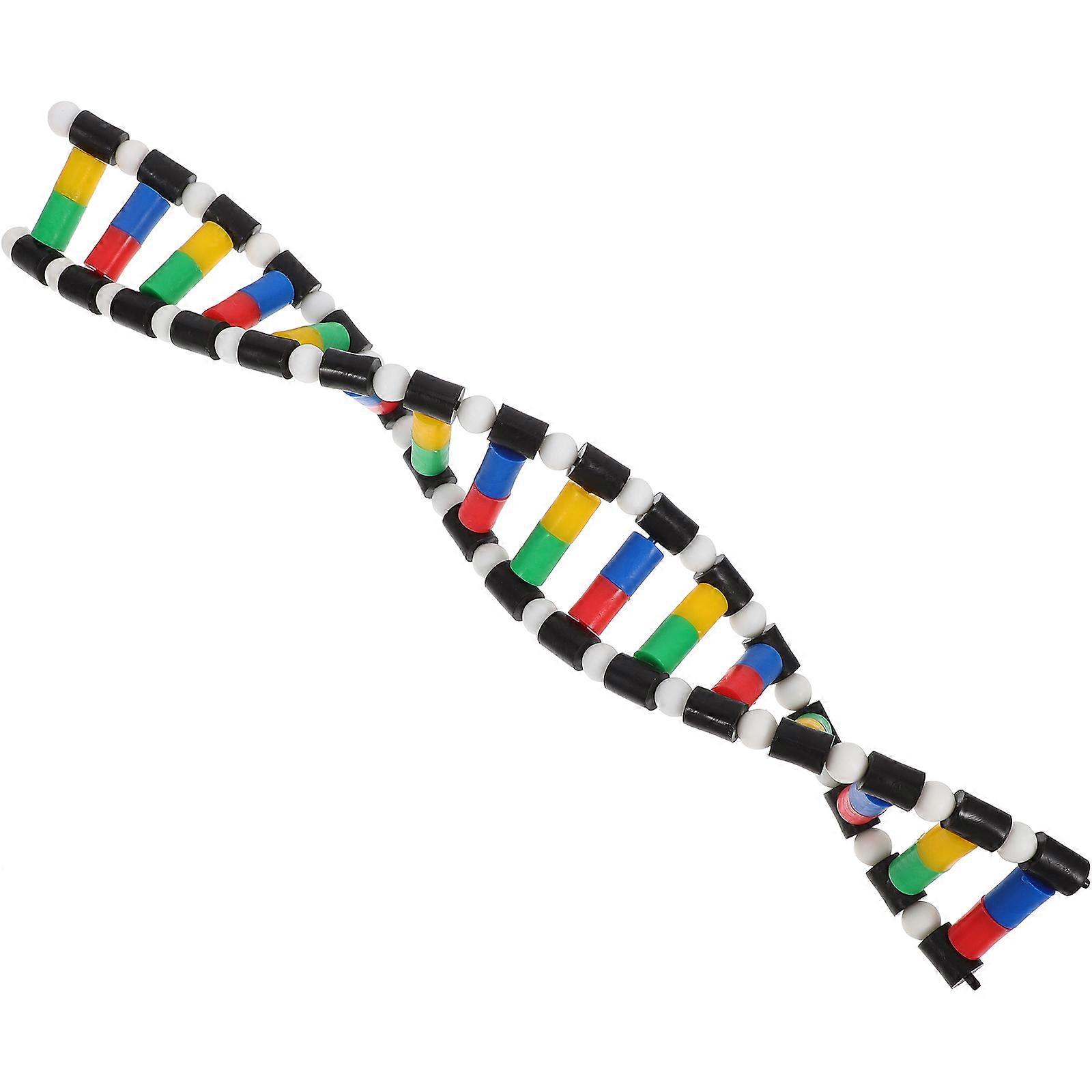 Double Dna Model Kit for Science Teaching with Assorted Color Plastic Components