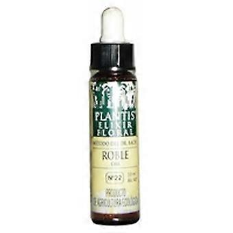 Oak No. 22 Eco 10 ml of floral elixir