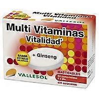 Multi Vitamins Vitality + Ginseng 24 chewable tablets