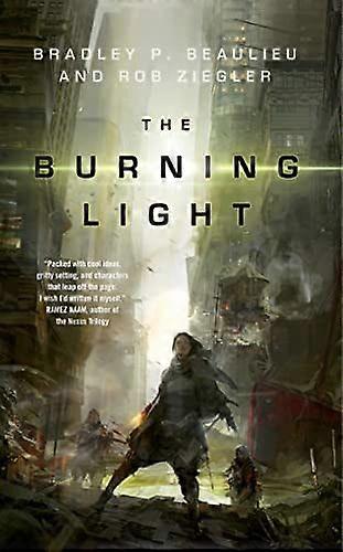 The burning light a novel