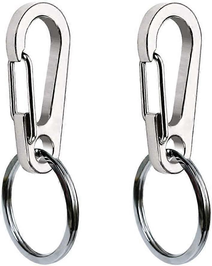 Durable Quick-Change Pet ID Clip Set
