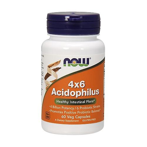 4x6 acidophilus: 6 strains of probiotics 60 capsules