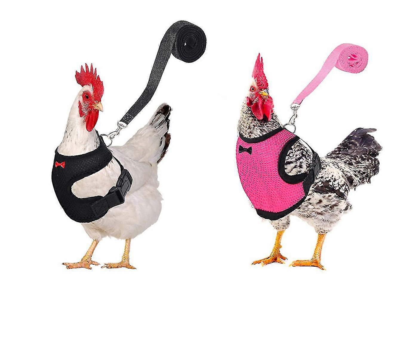 2pcs chicken harness and leash, modified adjustable breathable harness specially designed for chicken duck goose training and walking, comfortable si