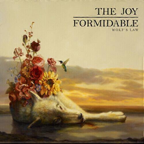 The Joy Formidable Wolfs Law CD (2013)