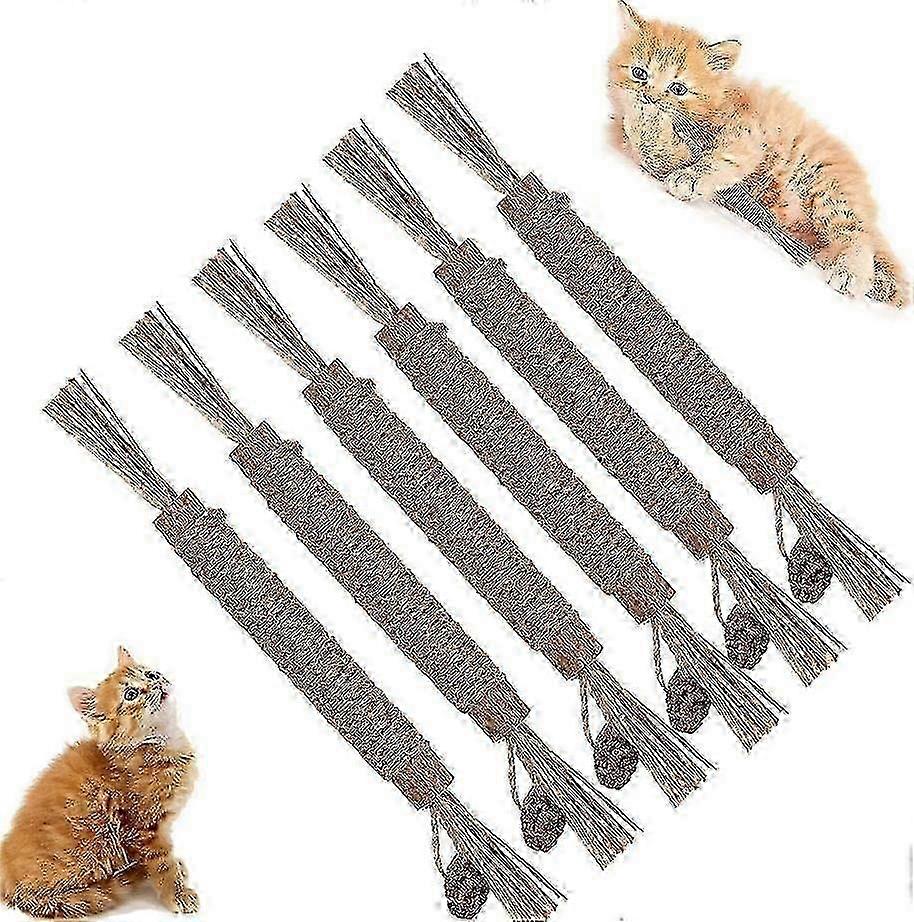 Natural Silvervine Chew Sticks for Cats, 2024 Best Choice