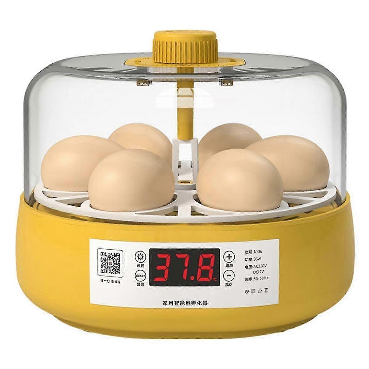 Mini Bird Incubator Automatic Home Incubator Automatic Incubator Electric Children's Chicken Bird