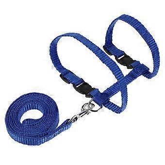 2Pcs Sky- Adjustable Leash For Pet Owners Outdoor Walking Activities