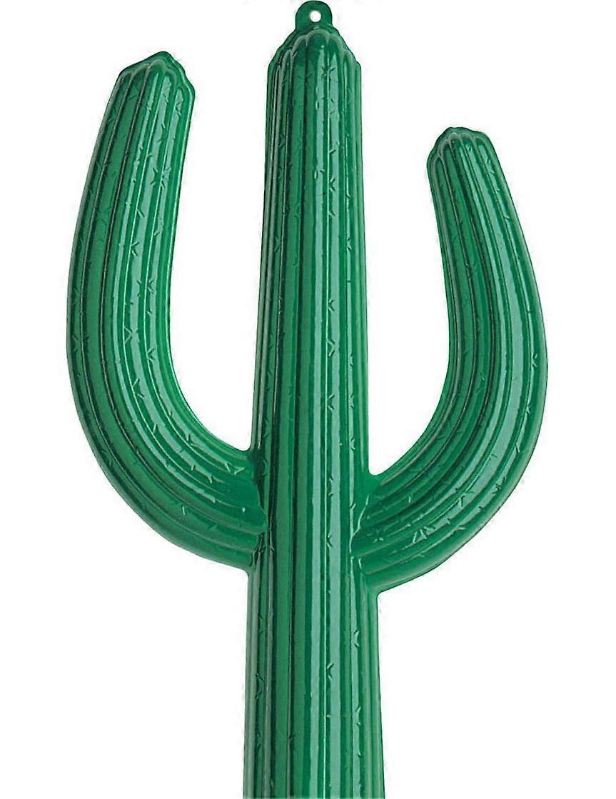 Kaktüs 36 X 62 cm