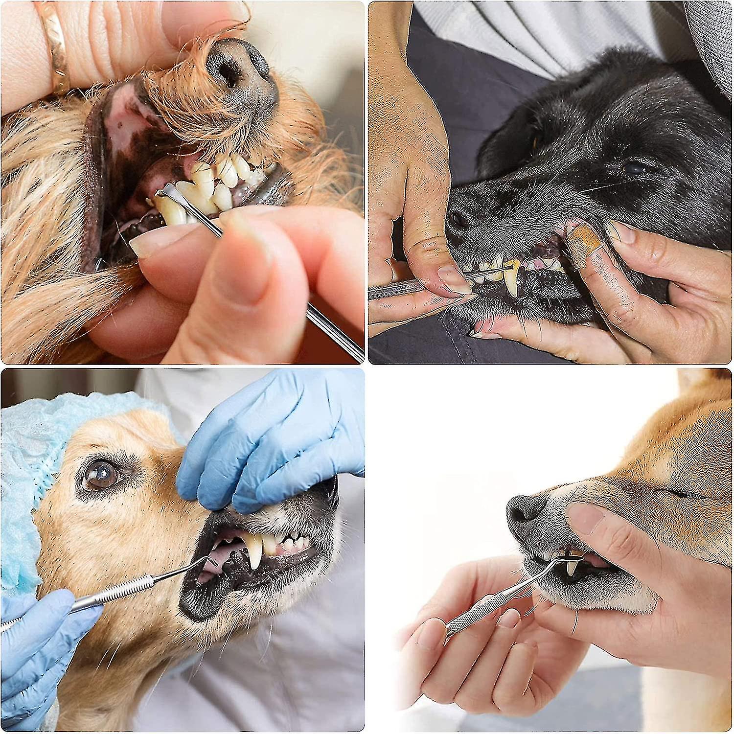 Scaler Dog Tooth Cleaning Kit Stainless Steel Dental Care Set Tooth