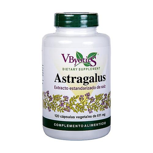 astragalus root extract 120 vegetable capsules of 611mg
