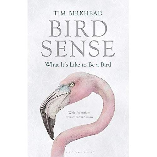 Bird Sense: What It's Like to Be a Bird