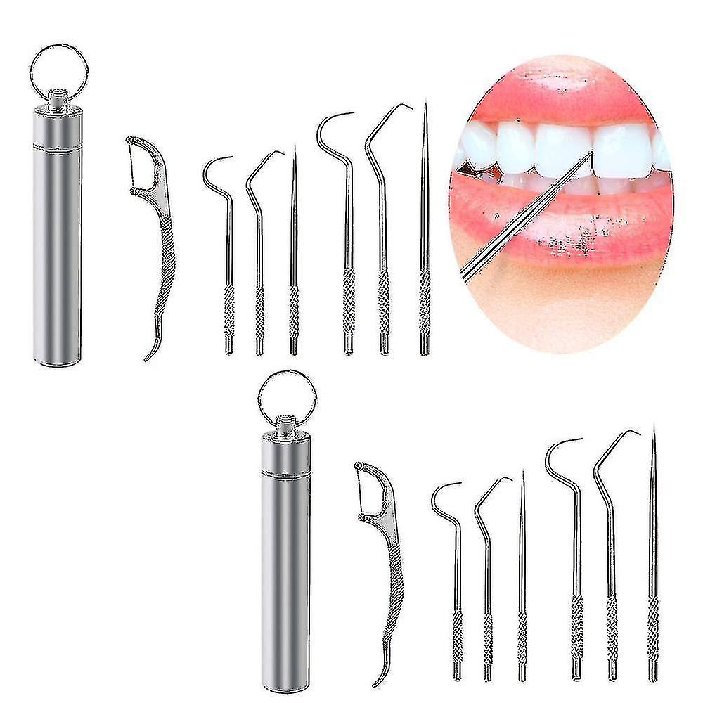 Portable Titanium Toothpicks Pocket Set Reusable Metal Stainless Steel Toothpicks With Holder -z