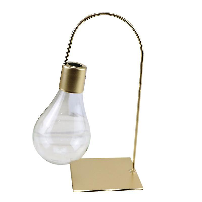 1pcs Plant Glass Vase