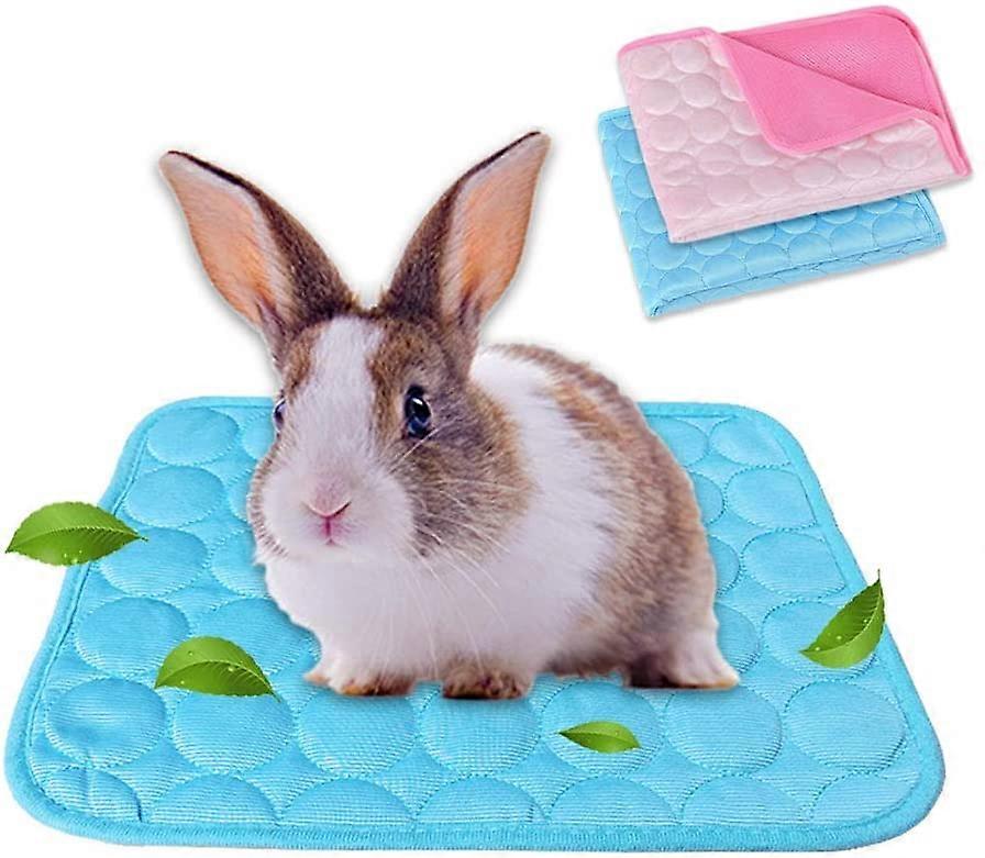 2-Pack Guinea Pig Bed Bunny Bed For Summer, Pet Cooling Mat