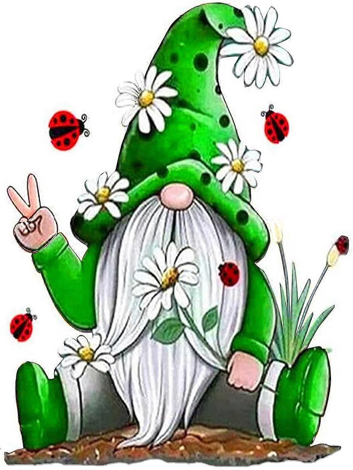 Dverger 5D diamantmalingssett 30x40 cm Q