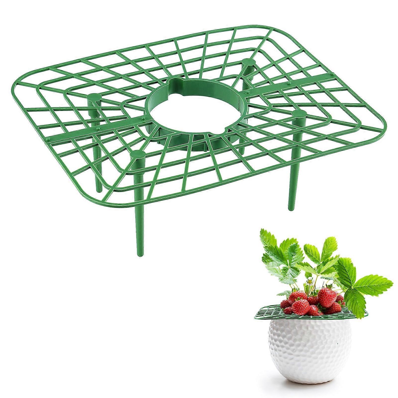 1pc Fruit Bracket Strawberry Support Plants Holder
