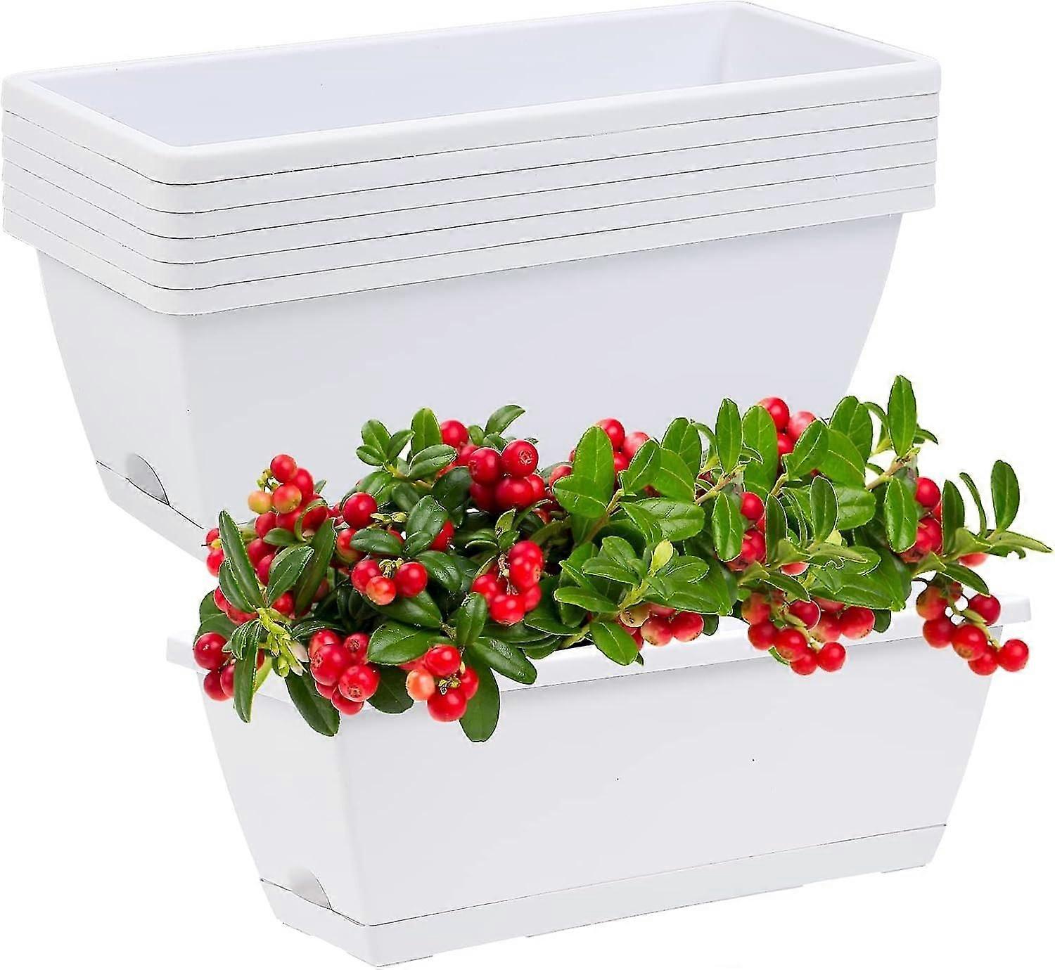 5 Pack Plastic Vegetable Flower Planters Boxes