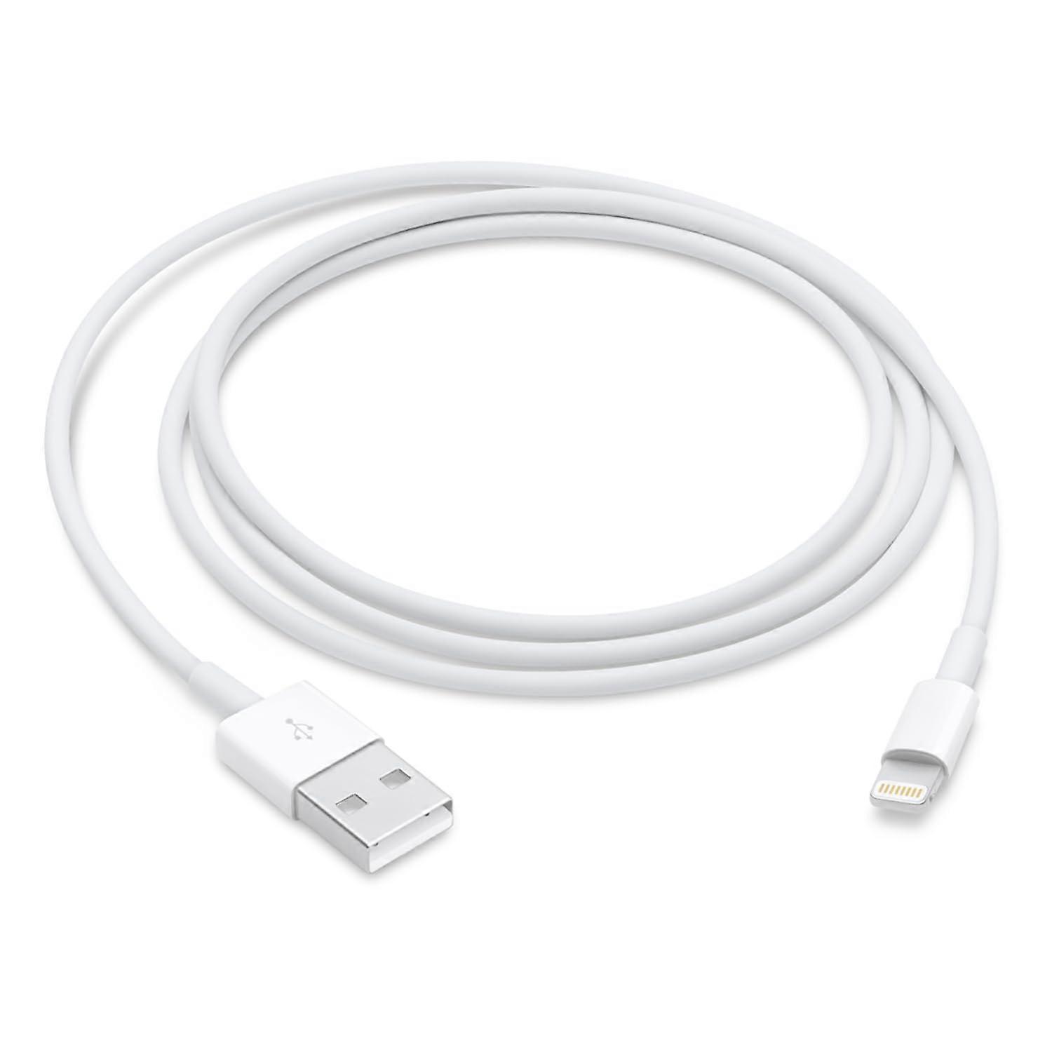 Apple Lightning - USB Kablosu (1 m)