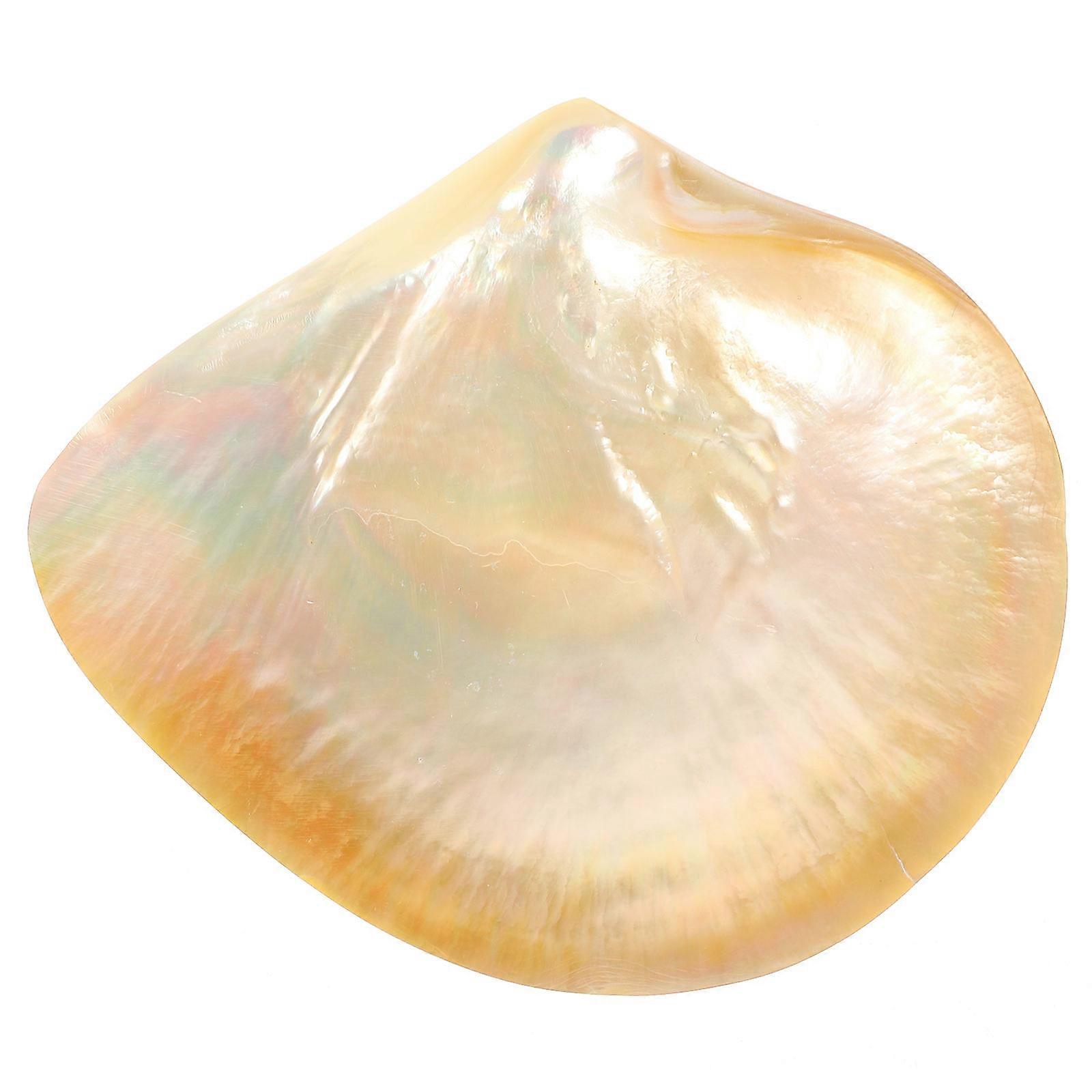 Shell Design Decorative Serving Plate – Microwave Safe, Easy to Clean, Ideal for Breakfast, Snacks, Fruits, Desserts at Home or Parties