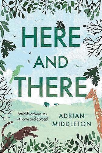Here And There by Adrian Middleton Hardback Book