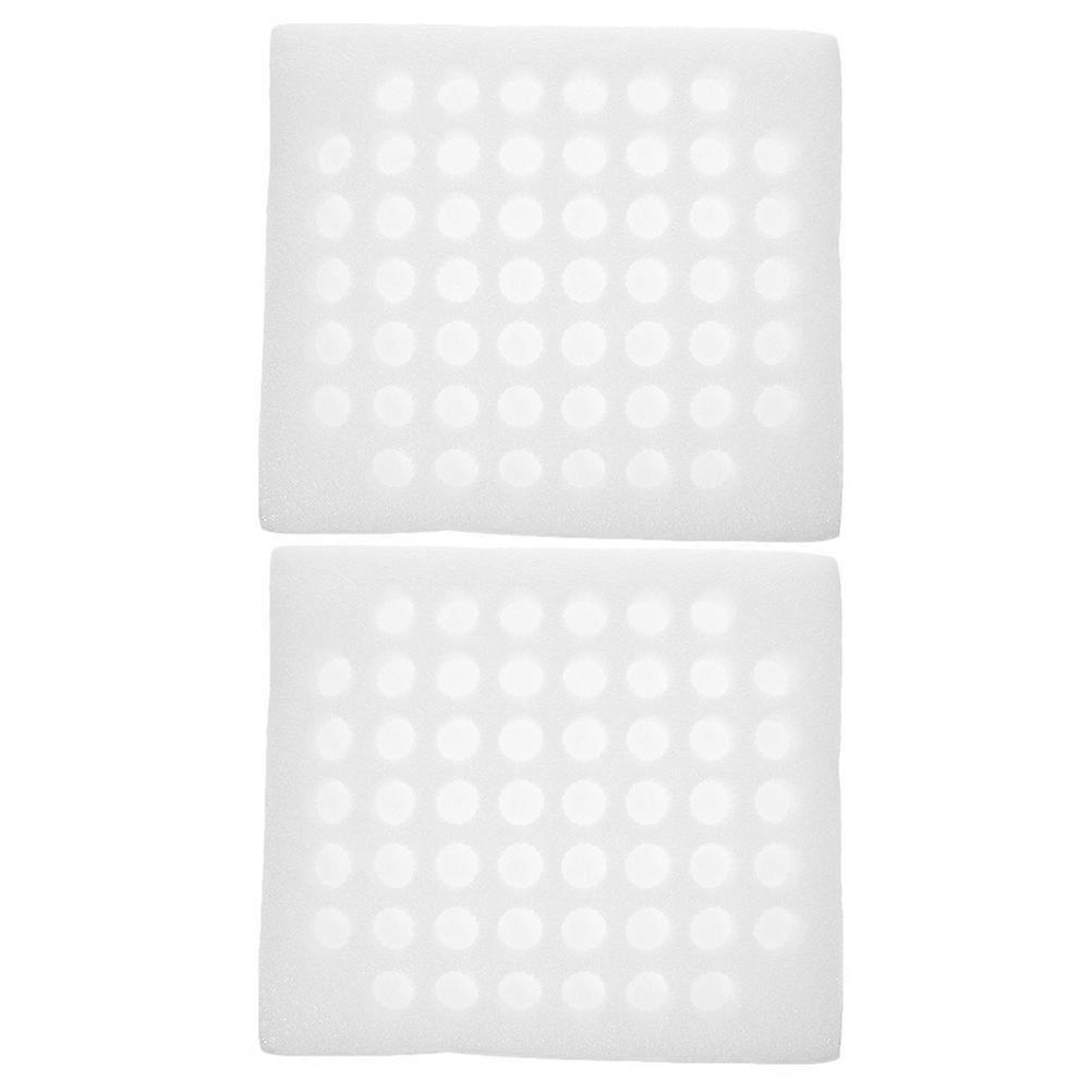 Foam for Fresh Eggs Quail Egg Carton for Storing 2Pcs White Tray