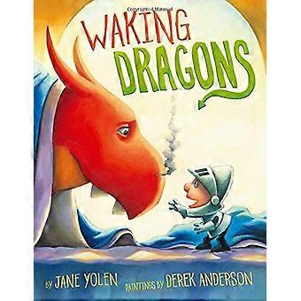 Wakende Dragons