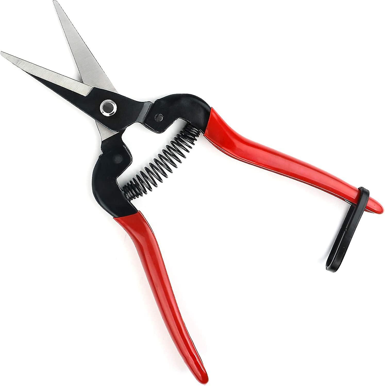 Pointed Pruning Shears With Carbon Steel Blades