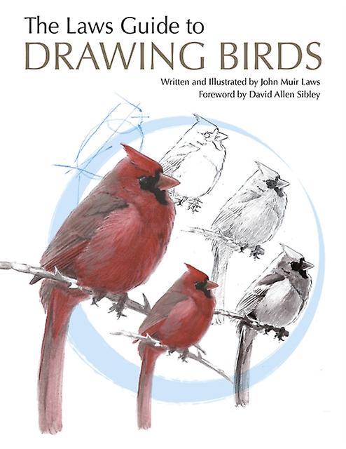 The Laws Guide To Drawing Birds by John Muir Laws Paperback Book