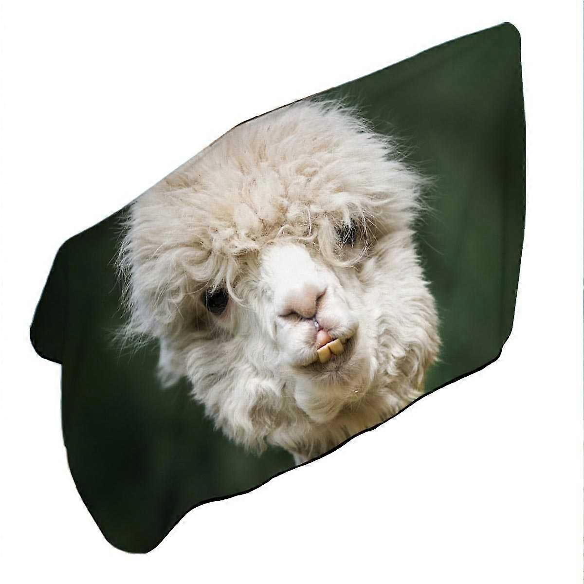 Funny Photo of Llama Microfiber Beach Towel