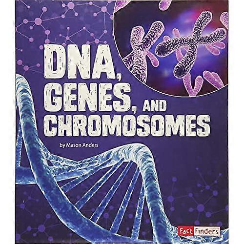 DNA, Gene und Chromosomen (Genetik)