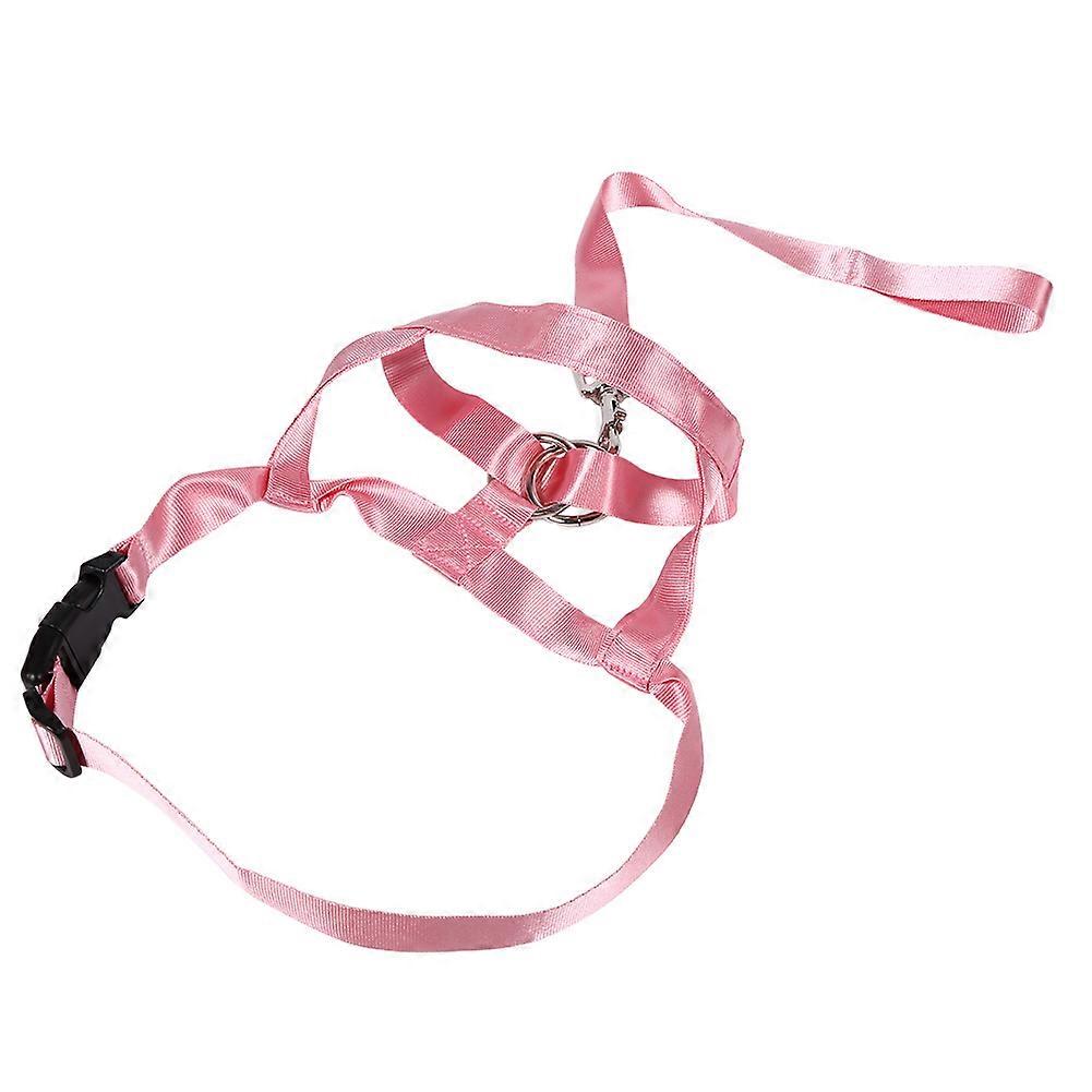 Anti - bite Anti - eating Puppy Nylon Leader Pull Straps for Training