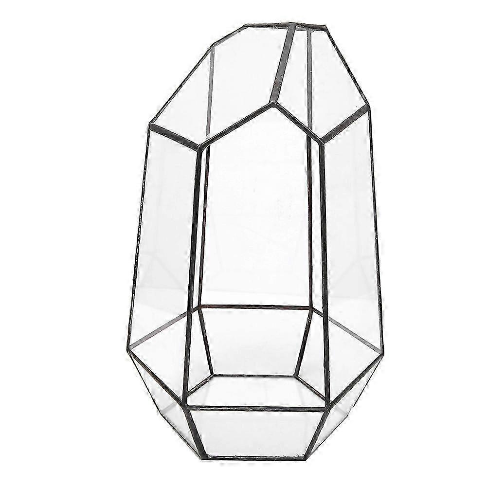 Modernt glas saftigt terrarium displaybox