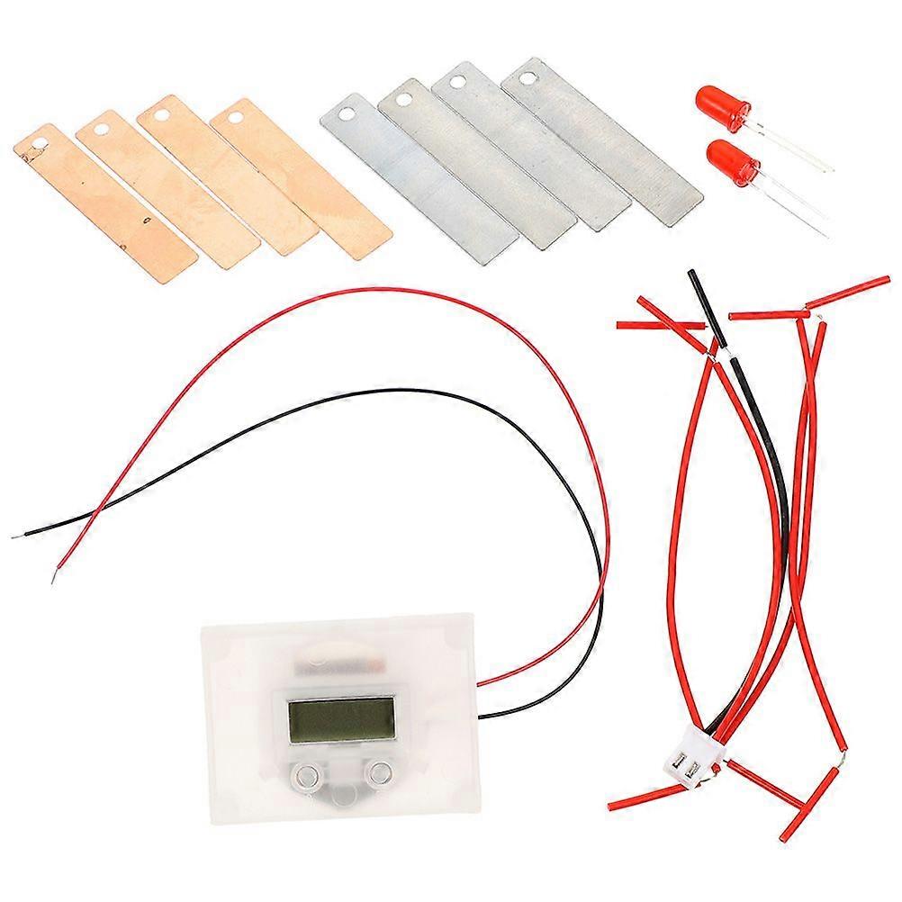 2 Sets Scientific Experiment Fruit Battery Student DIY Fruit Battery School Student Experiment