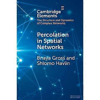 Percolation In Spatial Networks - Bnaya Gross