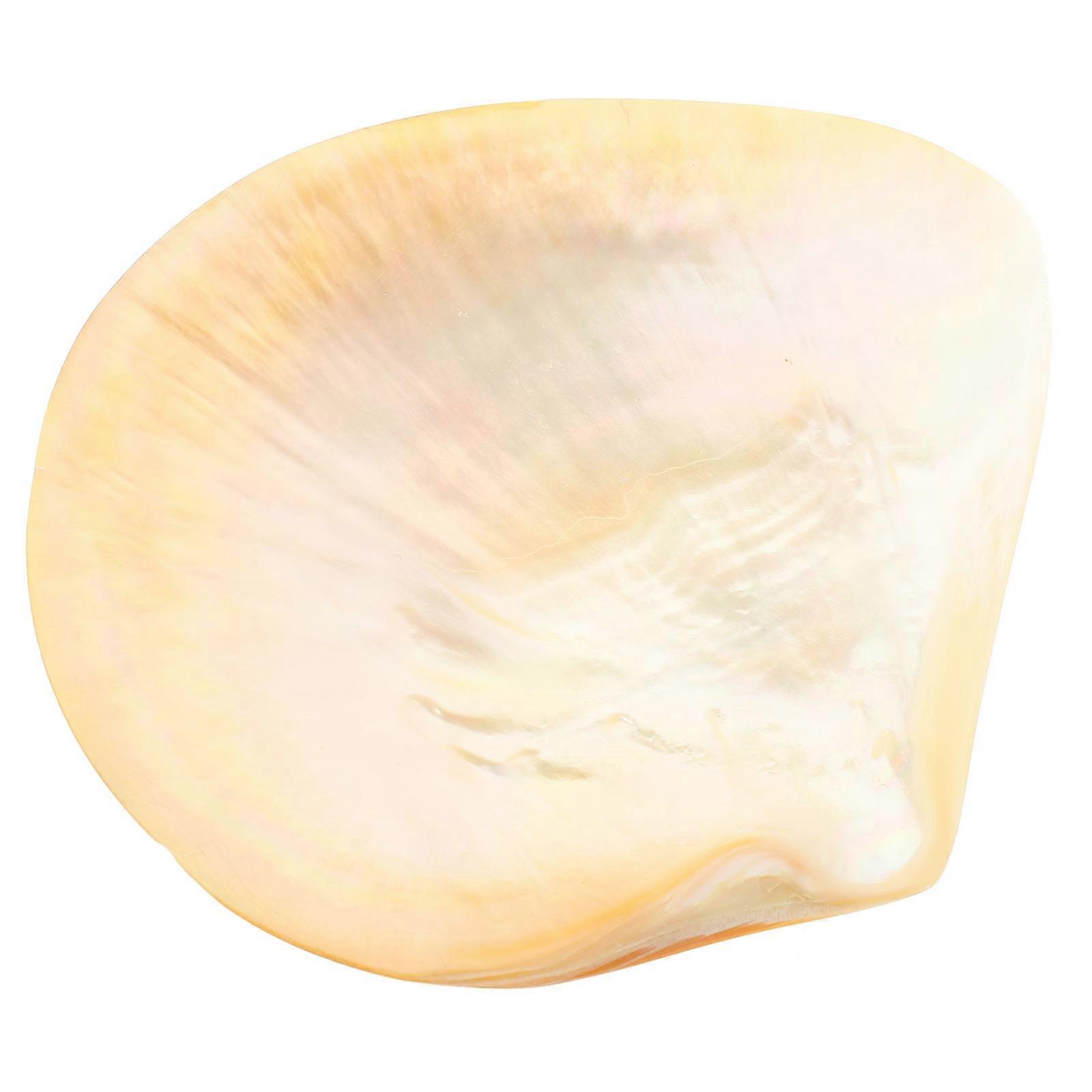 Multi Color Dessert Serving Tray Ideal For Home Households Unique Shape 2Pcs