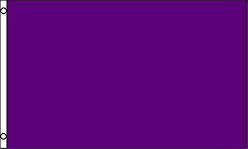 Purple Flag Solid Plain Purple Premium Grommets Fast Ship Type A 208