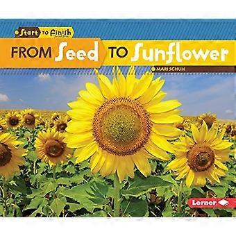 Vom Samen bis zur Sonnenblume (Anfang bis Ende, Sekunde)