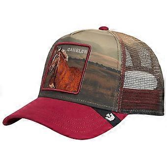 Goorin Bros Stallion in the Element Trucker Hat - Crush Red