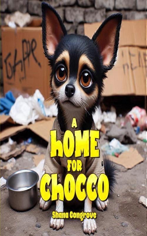 A Home For Chocco