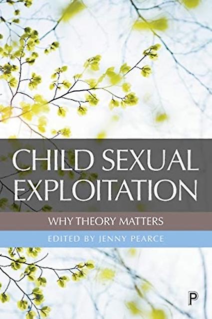 Child Sexual Exploitation Why Theory Matters Paperback