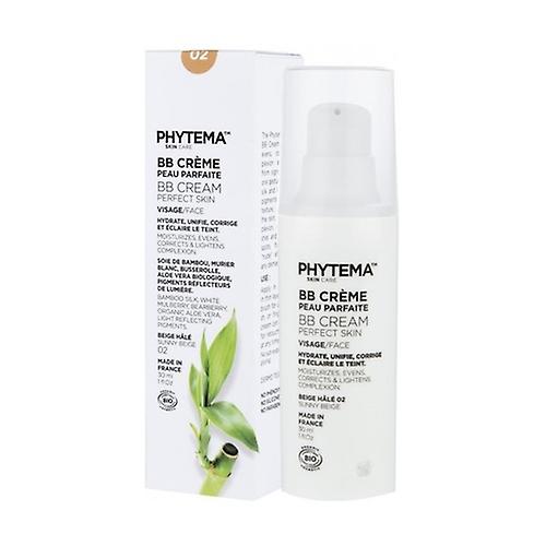 BB perfect skin cream 30 ml of cream